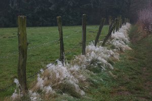 Forum DSC06906 (c) PPf.jpg