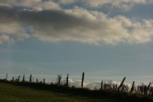 Forum DSC06339 Nex 5r + Vivitar 80-200mm (c) PPf.jpg