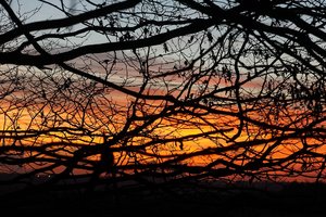 Forum DSC06401 Nex 5r + Vivitar 80-200mm (c) PPf.jpg