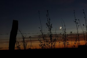 Forum DSC06433 Nex 5r + Trioplan 2,9 50mm (c) PPf.jpg