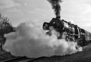 000085_52 8154-8.jpg