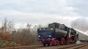 000098_52 8154-8.jpg