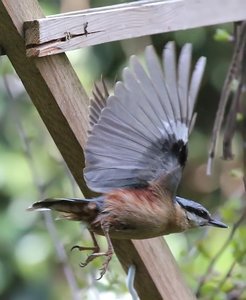 KleibFlug_filtered.jpg KleibFlug_filtered.jpg