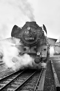 000543_03 2155-4.jpg 000543_03 2155-4.jpg