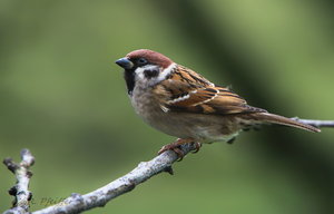 IMG_8167.jpg IMG_8167.jpg