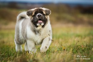 comp__MG_9209.jpg comp__MG_9209.jpg