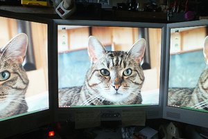 DSCF1209.jpg DSCF1209.jpg