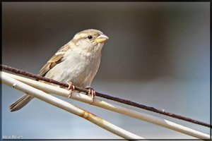 Bild - 2.jpg Bild - 2.jpg