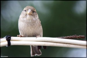 Bild - 4.jpg Bild - 4.jpg