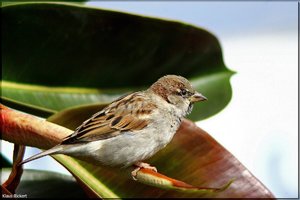 Bild - 5.jpg Bild - 5.jpg