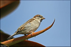 Bild - 7.jpg Bild - 7.jpg