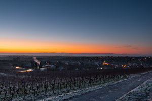 IMG_3101All rights reserved.jpg