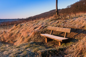 IMG_3209All rights reserved.jpg