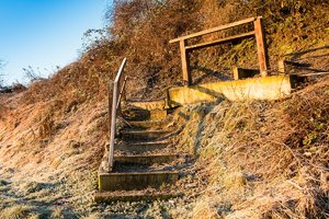 IMG_3224All rights reserved.jpg