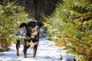 Winterzeit (1 von 1).jpg