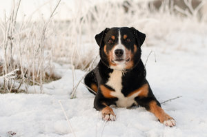 Winterzeit (2 von 1).jpg