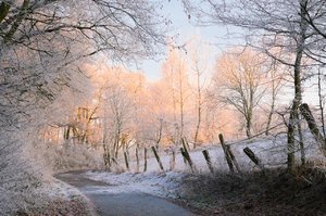 Homscheid (2 von 1).jpg