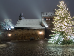 OLY10125All rights reserved.jpg