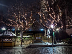 OLY10182All rights reserved.jpg