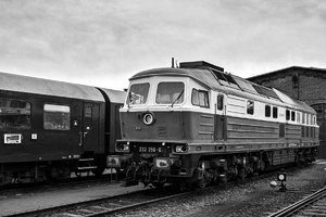 000679_232  356-6.jpg