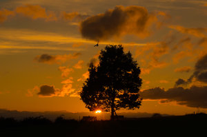 Fotoforum_28 (1 von 1).jpg