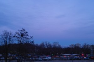 IMG00043_roh.jpg IMG00043_roh.jpg