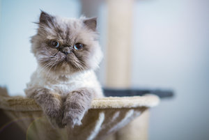 20150111-GS7A3033 bearb..jpg