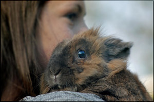 Photo 3.jpg Photo 3.jpg