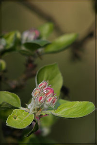 Photo 5.jpg Photo 5.jpg