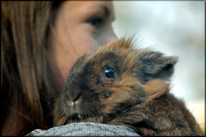 photo-3-gimppp.jpg photo-3-gimppp.jpg