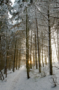 Winterspaziergang 2.jpg Winterspaziergang 2.jpg