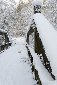 Winterspaziergang 3.jpg Winterspaziergang 3.jpg