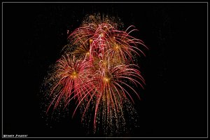 olga-2009_SDIM2208.jpg olga-2009_SDIM2208.jpg