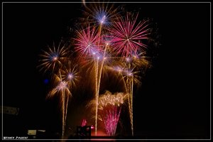 olga-2009_SDIM2222.jpg olga-2009_SDIM2222.jpg