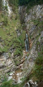 Mist-Reichenbachklamm.jpg Mist-Reichenbachklamm.jpg
