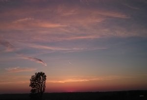 SD9 + 18-50 IMG06192_cr (c) PPf.jpg