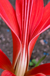 SDIM4490Corp.jpg SDIM4490Corp.jpg