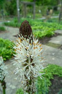 SDIM4562.jpg SDIM4562.jpg