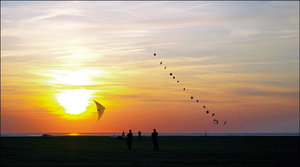 4598592069_644eb52882_o_2 Kopie.jpg