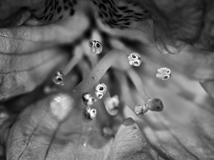 SDIM8243_2-1 Kopie-1.jpg