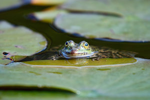 SDIM8330_1-1 Kopie-1.jpg