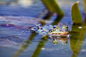 SDIM8297_1-1 Kopie-1.jpg