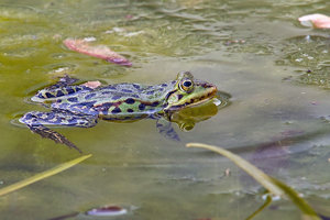 SDIM8290_1-1 Kopie-1.jpg