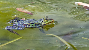 SDIM8290_1-2 Kopie-1.jpg