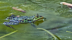 SDIM8290_3-1 Kopie-1.jpg