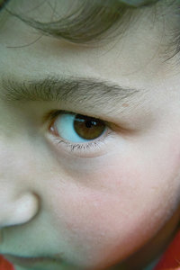 SDIM4566.jpg SDIM4566.jpg