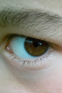 SDIM4566Corp.jpg SDIM4566Corp.jpg