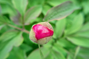 SDIM4581.jpg SDIM4581.jpg