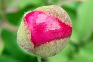 SDIM4581Corp.jpg SDIM4581Corp.jpg