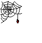 spinnen0006.gif